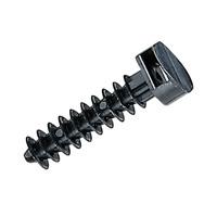 Legrand Legrand 031955 Wandplug Insteekbaar 031955 Zwart 100 stuk(s) - thumbnail