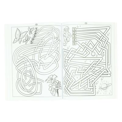 Wins Holland Doolhovenboek - 115 doolhoven