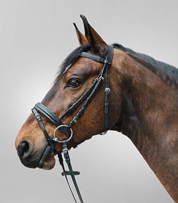 Star Diamond hoofdstel zwart maat:shetl