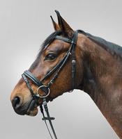 Star Diamond hoofdstel zwart maat:shetl - thumbnail
