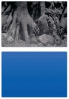 SuperFish 2-zijdige Deco Poster D4 - thumbnail