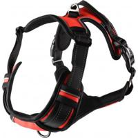 Hondentuig Balou Rood M 50-65 cm x 25 mm - thumbnail