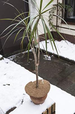 Connex Kokos-Schijf Isolerend D25Cm - FLOR80277 Connex Kokos-Schijf Isolerend D25Cm - FLOR80277