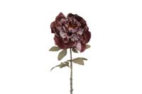 Countryfield kunstbloem peony sibel 57 cm paars - thumbnail