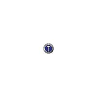 Promat/Tecwerk Hamerboor | d. 14,0 mm werk-L.100 mm L.160 mm | SDS-Plus - 4000864037 - thumbnail