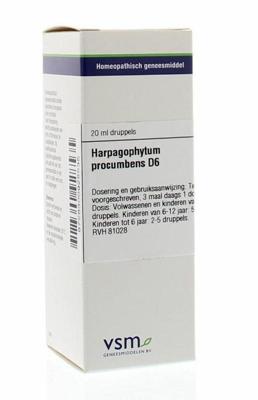 VSM Harpagophytum procumbens D6 20 Milliliter VSM Harpagophytum procumbens D6 20 Milliliter