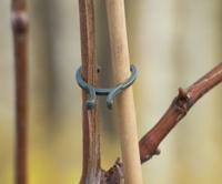 Nature plantenringen - thumbnail