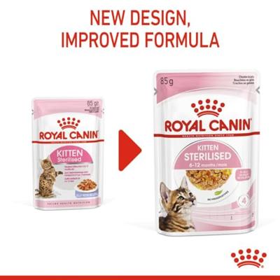 Royal Canin Kitten Sterilised natvoer kat (in gelei) 1 doos (12 x 85 g) - thumbnail