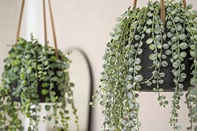 Rough Eco-line hangende bloempot M 17x14 cm Patt zwart Rough Eco-line hangende bloempot M 17x14 cm Patt zwart