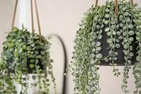 Rough Eco-line hangende bloempot S 14x11 cm Patt zwart - thumbnail