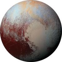 Noordwand Komar Dots Behangcirkel Pluto - D1-021 - thumbnail