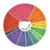 Creed Love In White For Summer Creed Love In Summer 75 ml Eau de Parfum Dames - thumbnail