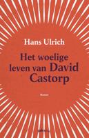 Het woelige leven van David Castorp (Paperback) - thumbnail