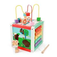 Fisher Price 5in1 Houten Activiteitenkubus - thumbnail