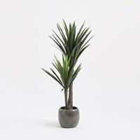 Decoratieve plant Mica Decorations Yucca (120 x 60 cm) - thumbnail