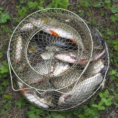 FIAP 1671 Leefnet Maasbreedte: 10 mm (Ø x h) 400 mm x 500 mm FIAP 1671 Leefnet Maasbreedte: 10 mm (Ø x h) 400 mm x 500 mm