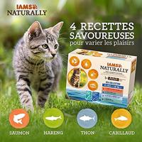 Iams Naturally Adult Sea Collection natvoer kat (12x85gr) 24 x 85 g - thumbnail