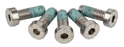 ANP BOUT M5X14 INBUS DIN 7974 LOCK RVS DS A 5