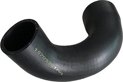 BUGIAD Overstroomslang 88622