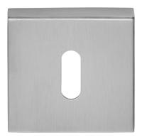 Formani BSQN53 BASICS sleutelplaatje mat roestvast staal - thumbnail