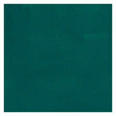 Bruynzeel Ecola plakkaatverf fles 16ml donkergroen 602 Bruynzeel Ecola plakkaatverf fles 16ml donkergroen 602