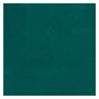 Bruynzeel Ecola plakkaatverf fles 16ml donkergroen 602 - thumbnail