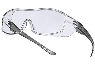 Delta Plus overzetbril Hekla Clear kleurloos polycarbonaat