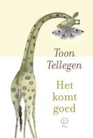 Het komt goed - Toon Tellegen - ebook - thumbnail
