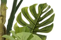 Boomstructuur DKD Home Decor Polyester Polypropyleen Monstera 75 x 75 x 180 cm - thumbnail