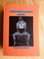 Verboden Liefde in Florida - Peter R van Raaij - ebook - thumbnail