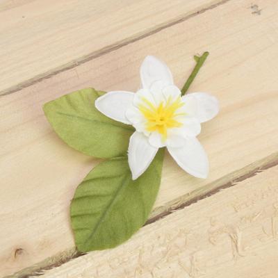 Bonbon doosjes - Chocolade doosje - Citroenbloesem - 24 stuks