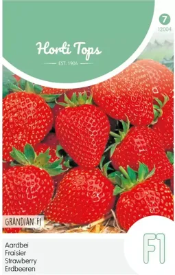 Zaden Aardbei Grandian F1 Hortitops - Hortitops