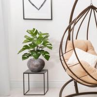Monstera kunstplant 50cm - thumbnail