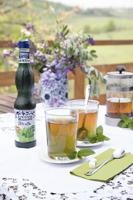 Fabbri - Munt Siroop - 560ml - thumbnail