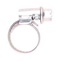 Gloria Slangklem 2 - thumbnail