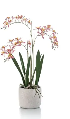 Emerald kunstplant renanthera 56cm roze