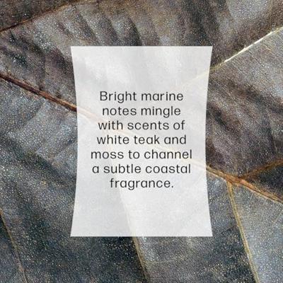 WoodWick medium candle limited edition candescent coast silver