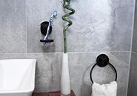 Cornat 3In1 Handdoekhouder Ring Zw - T3402551 - thumbnail