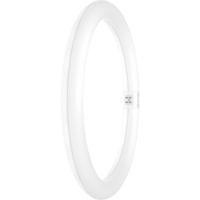 LEDVANCE LED-buis-Globe Energielabel: F (A - G) G10q 18.3 W Warmwit 1 stuk(s) (Ø x l) 300.00 mm x 300.00 mm - thumbnail