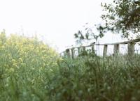 Wolfen Color Classic CN500-24 filmrol, 24 opnames - thumbnail