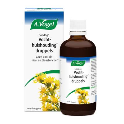 A Vogel Solidago complex 100 Milliliter