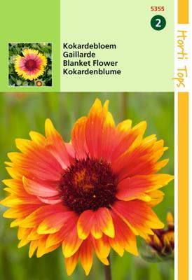 Zaden Gaillardia Kokardebloem Hortitops - Hortitops