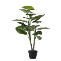 Kunstplant Taro in pot d70h100cm groen - thumbnail