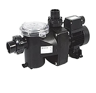 Pentair Freeflo FFL-101 zwembadpomp 18m³
