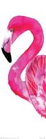 Poster Sofie Rolfsdotter Flamingo 30,5x91,5cm - thumbnail