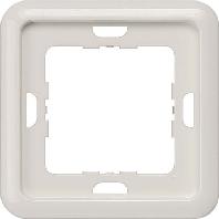 Siemens 5TG1772 Frame 2-voudig Delta Zilver Schakelmateriaal 1 stuk(s) - thumbnail