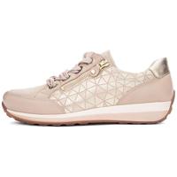 Ara 1244587 - alle - thumbnail