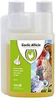 Garlic Allicin Liquid - thumbnail