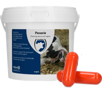 Pessaria Capsule 12 st - thumbnail