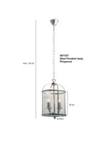 Steinhauer - Pimpernel - hanglamp 2 lichts - staal - thumbnail